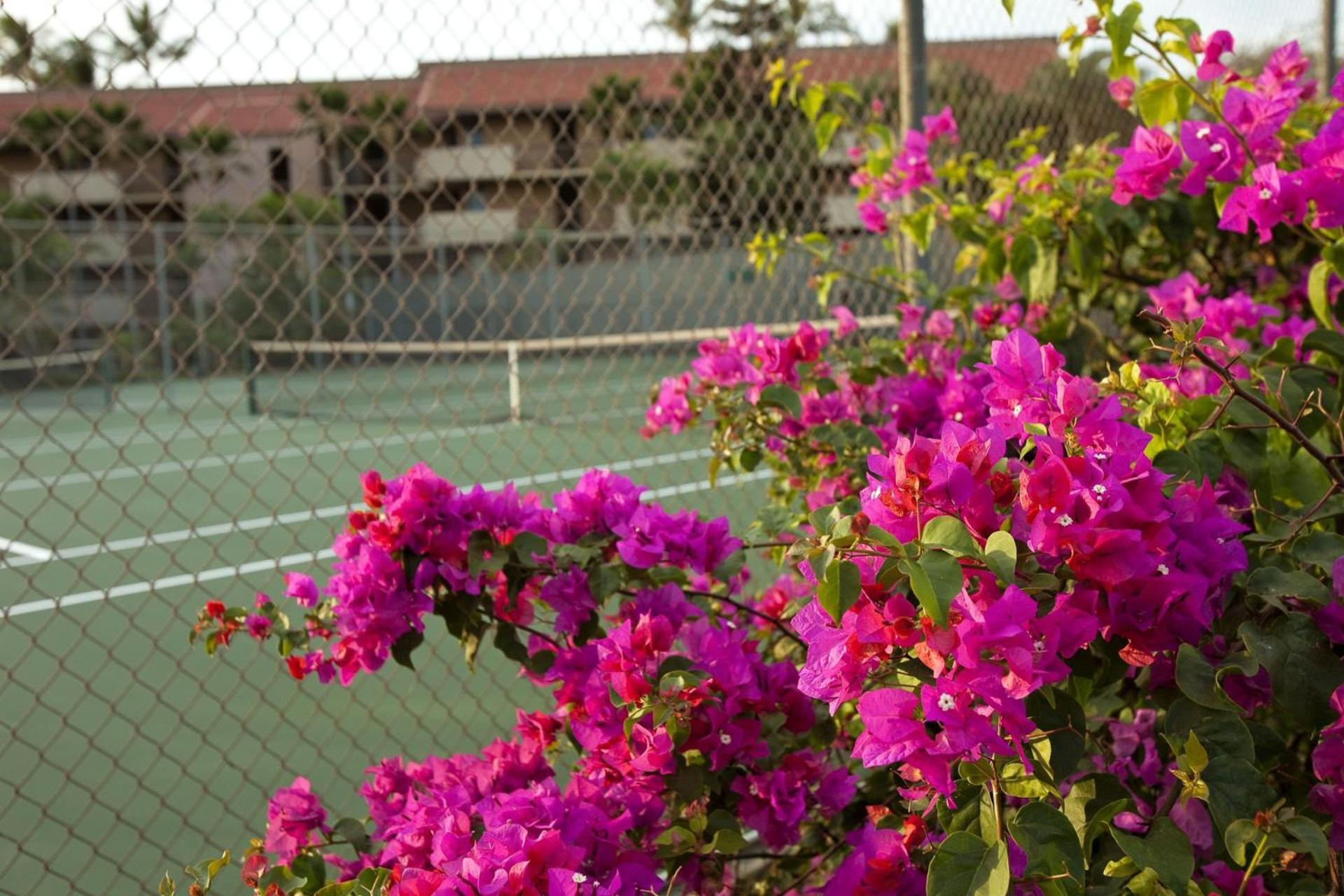Apartamento Maui Vista By Coldwell Banker Island Vacations Kihei Exterior foto