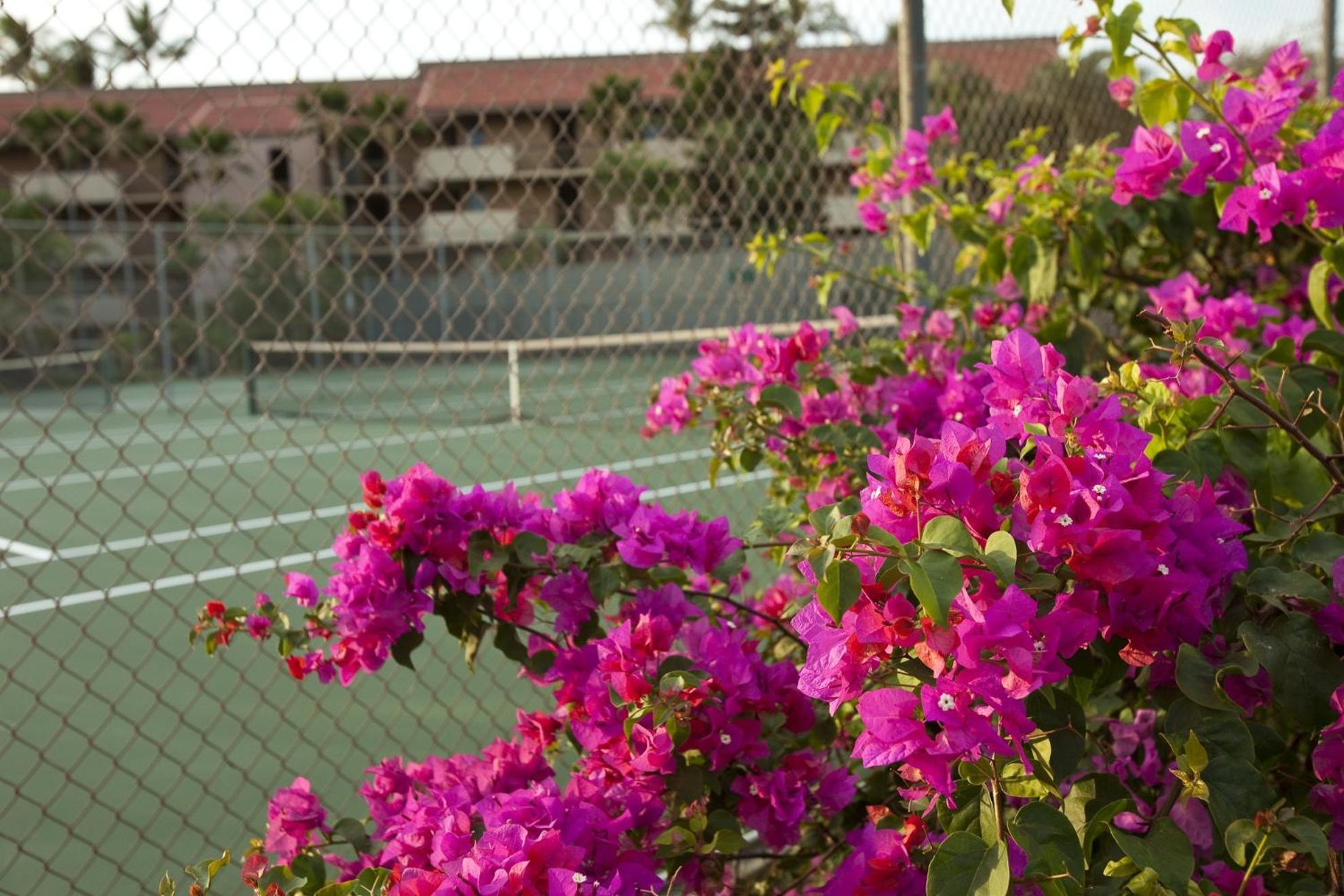 Apartamento Maui Vista By Coldwell Banker Island Vacations Kihei Exterior foto