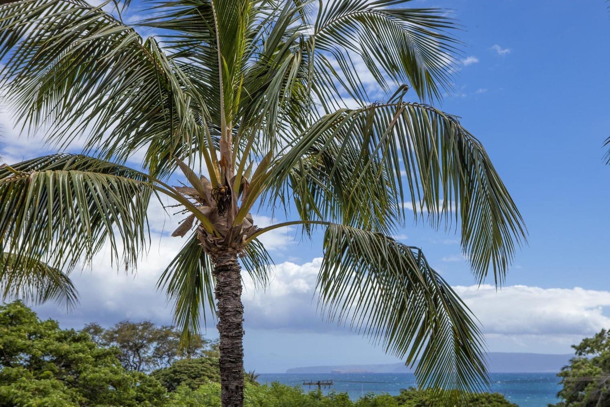 Apartamento Maui Vista By Coldwell Banker Island Vacations Kihei Exterior foto